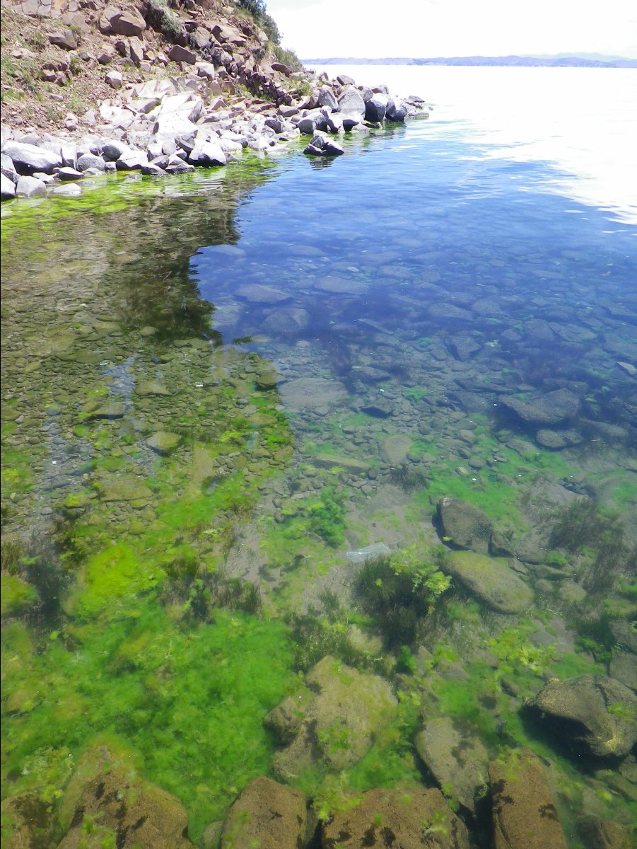 Island Taquile52